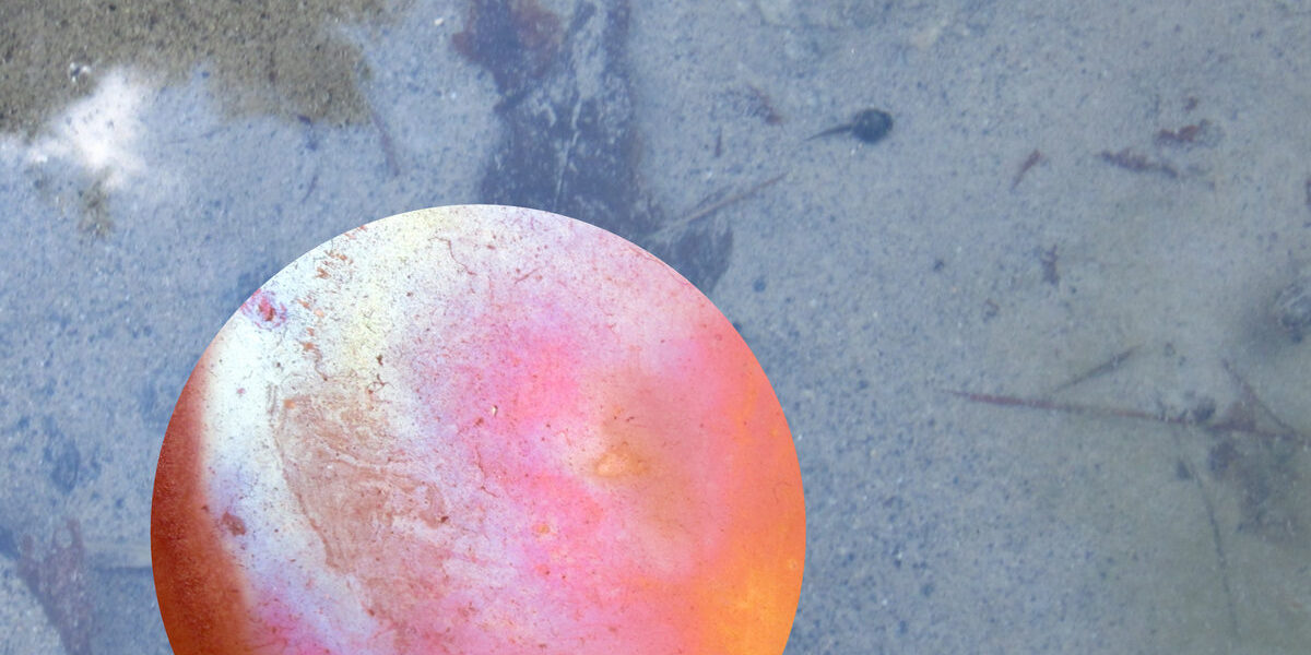 concatenate – U+1F407; U+1F990