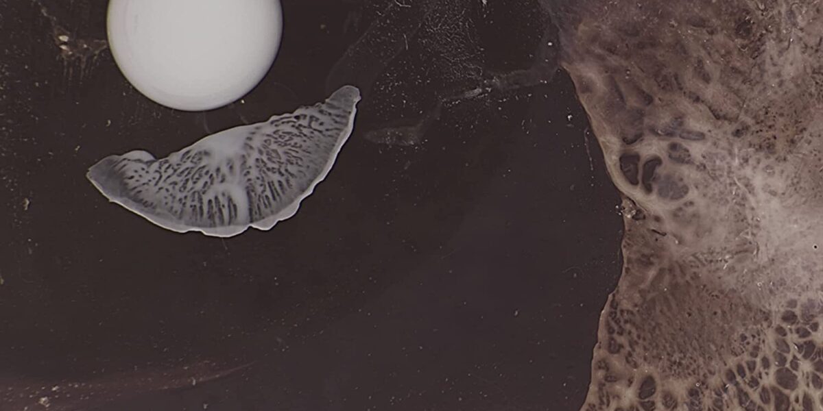 Gunnar Andreas Kristinsson