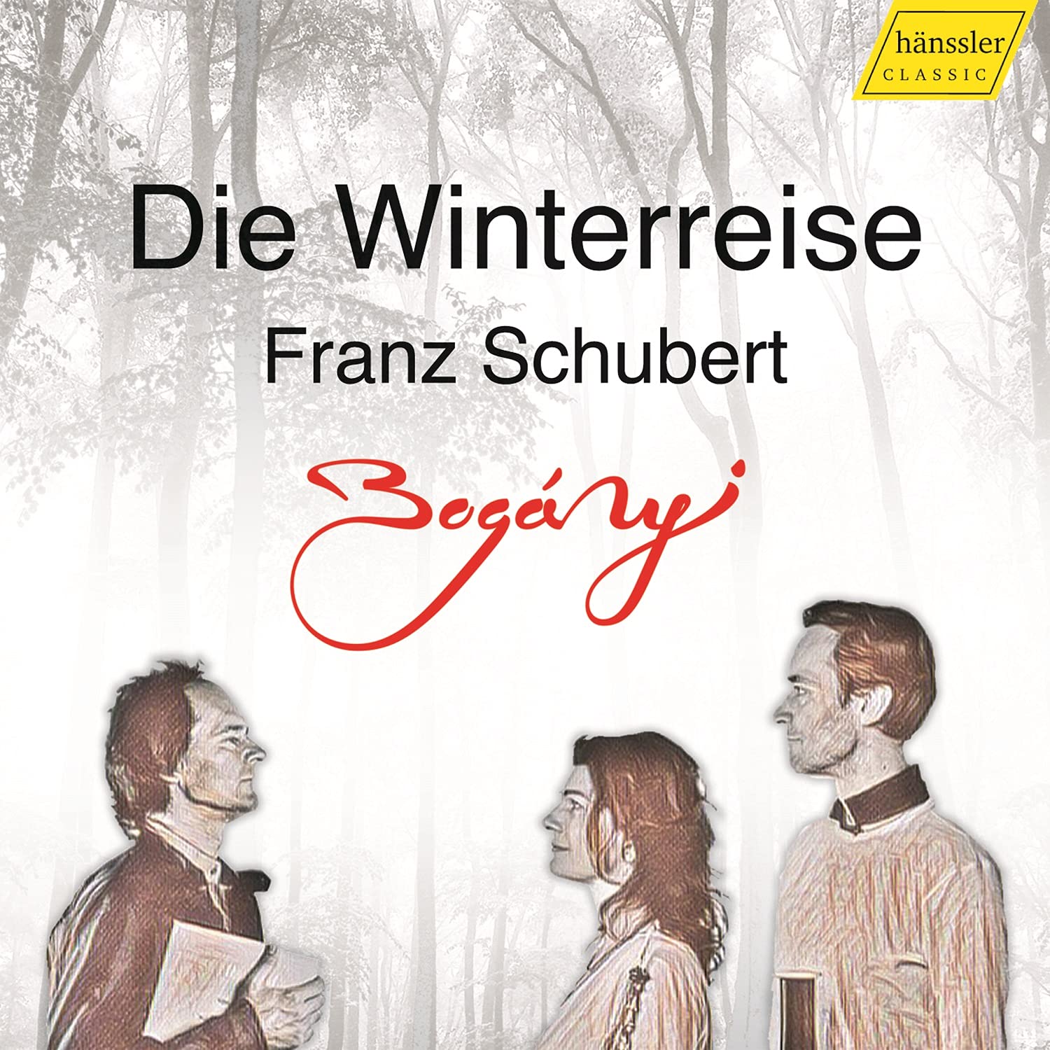 Mehr über den Artikel erfahren Winterreise / Trio Bogányi