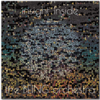the BEING orchestra: insight inside