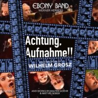 Wilhelm Grosz / Achtung, Aufnahme!!