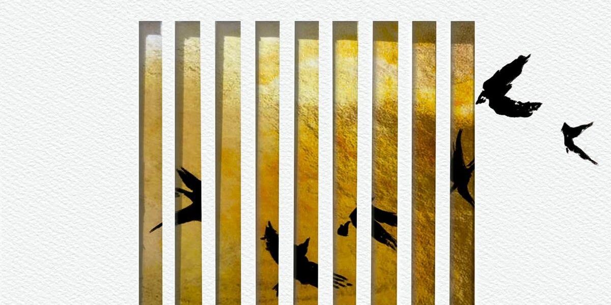 Boccherini / Symphonies op. 35