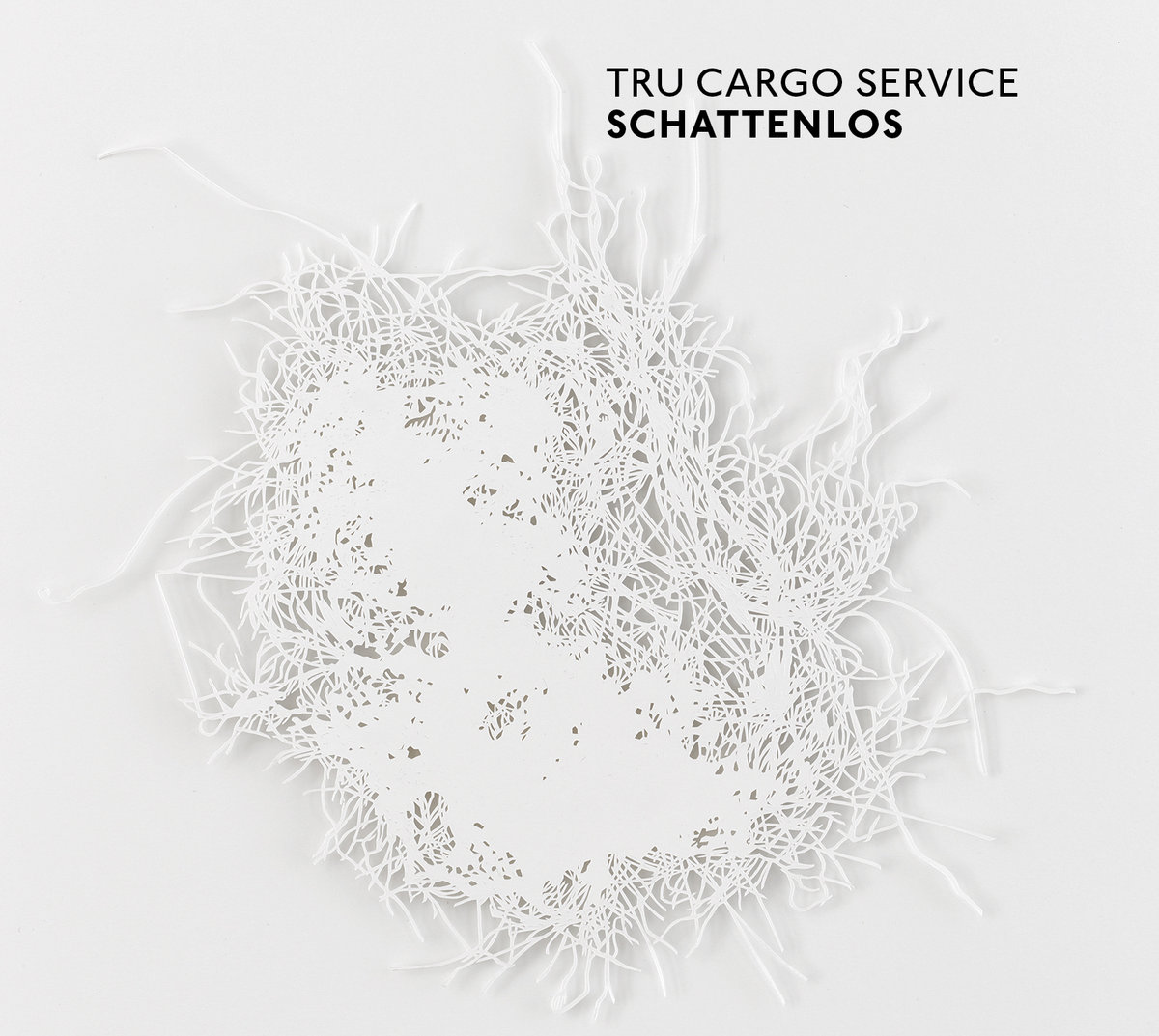 Mehr über den Artikel erfahren Tru Cargo Service: Schattenlos