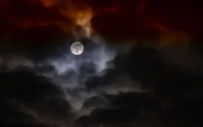 Mehr über den Artikel erfahren Sommerpause in der HörBar – Extraterristisches