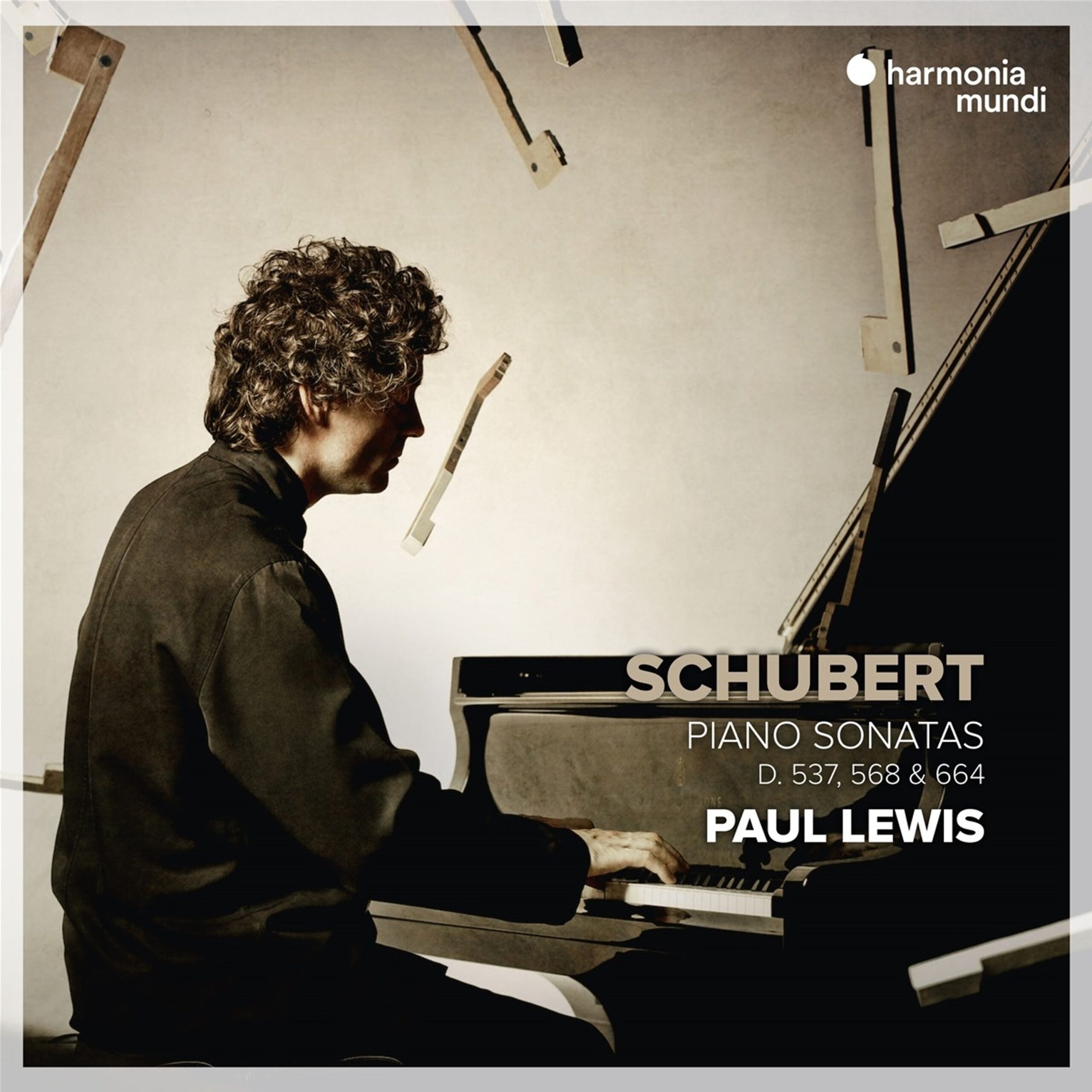 Mehr über den Artikel erfahren Franz Schubert / Paul Lewis