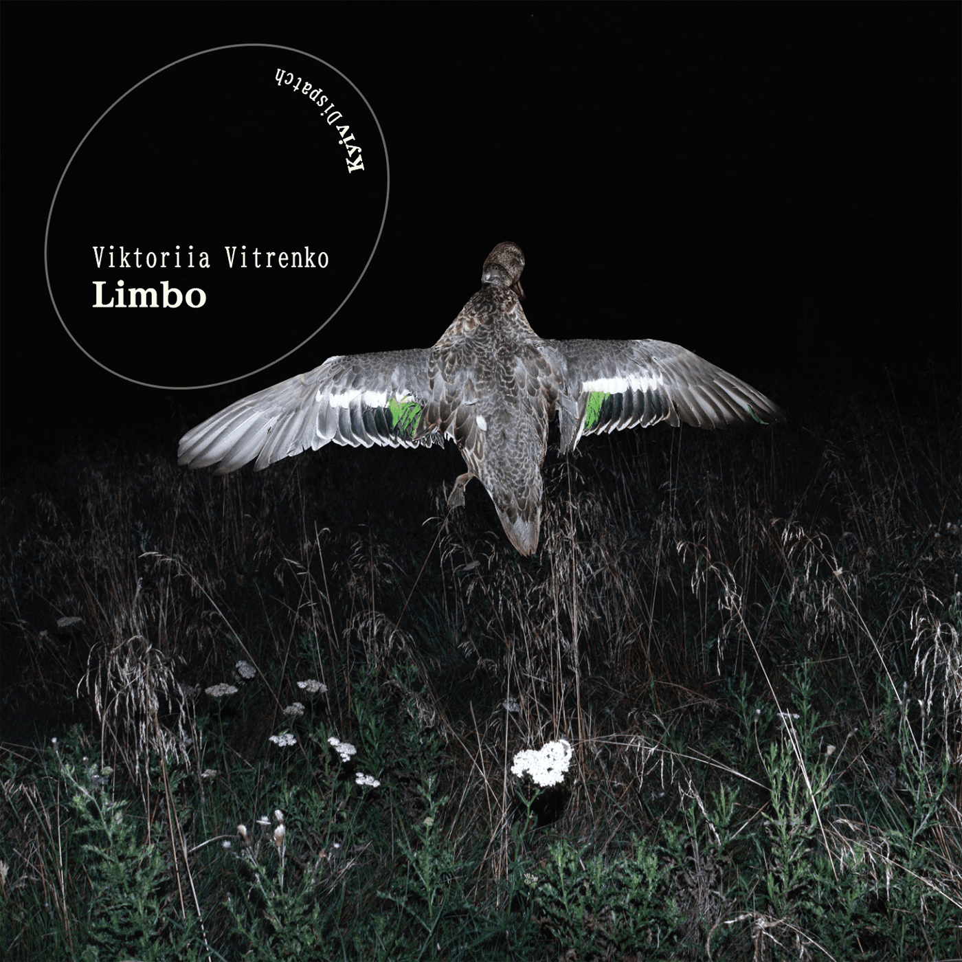 Mehr über den Artikel erfahren Viktoriia Vitrenko – Limbo